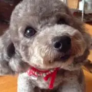 えむの画像