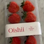 ぎぎの画像