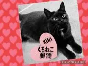 くろねこ郵便SHOPの画像