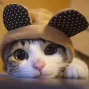 メル