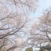 まる