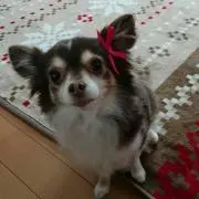 めいぴー