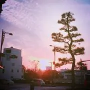 Saaaaの画像