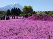 メルハリの画像