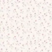 nose