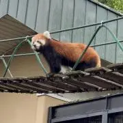 もまちの画像