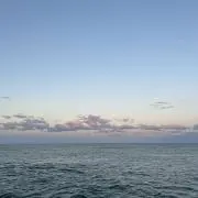 RALAPAの画像