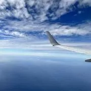 なつの画像