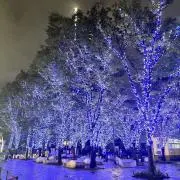 poyoの画像
