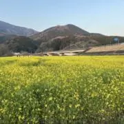 iの画像