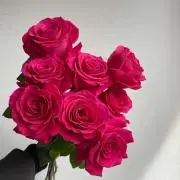 Flower ❁⃘*.プロフ必読の画像