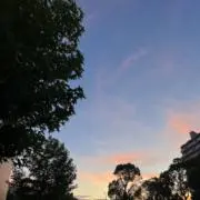 saramamaの画像