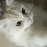 るんるんの画像