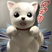 NIKKIの画像