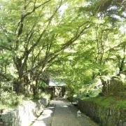 Tomoc Shopの画像