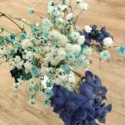 Blueプロフお読み下さいの画像