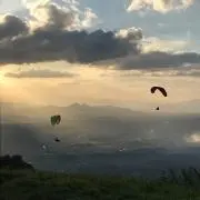 茜69茜