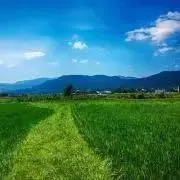 えむの画像