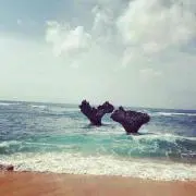 annaの画像
