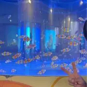 ちび助の画像