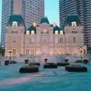 【即購入OK】蓮華の画像