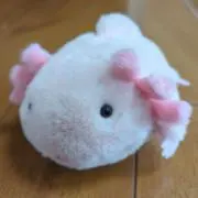 うぱこ〜まとめ買い歓迎！