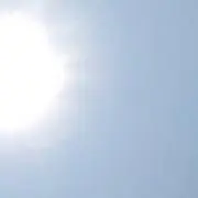 Chiの画像
