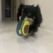 からだ巡茶の画像