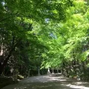 まるの画像