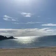 あっちゃんの画像