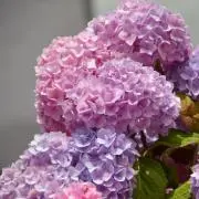 mana.10の画像