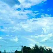 サンワの画像