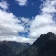 みんとの画像