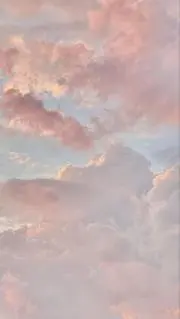 coiの画像