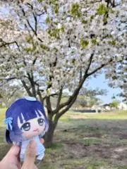 おもちの画像