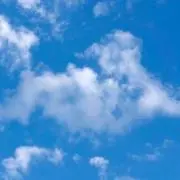 ✩うさぎ✩の画像