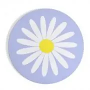 miponteの画像