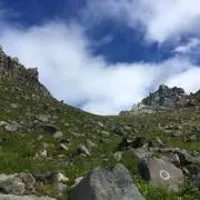 yosiの画像