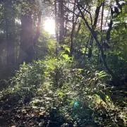 ななの画像