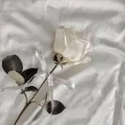 ®️ プロフ必読の画像