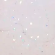 Sの画像