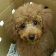 むぎち