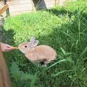 ゆな