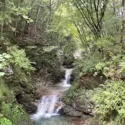 ri1924の画像