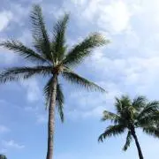 HAWAII