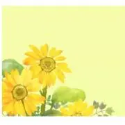 ひまわりの画像