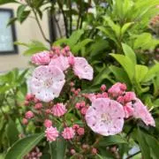 カキRoom⭐︎即購入ok♡の画像