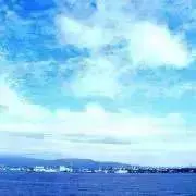 ソラの画像