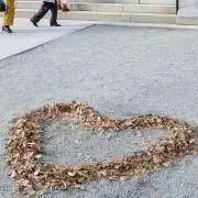 Rmの画像