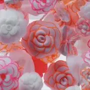 カリメロの画像
